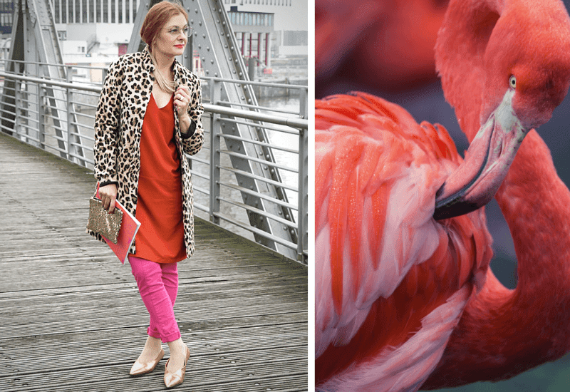 Eine Collage aus zwei Bildern die das Kombinieren von Pink mit Orange oder Rot visualisiert. Bild eins: Eine Frau steht auf einer Holzbrücke. Sie trägt ein Minikleid in Orange-Rot über einer Hose in Pink. Außerdem trägt sie einen Kurzmantel mit Leopardenprint. In der Hand hält sie eine Block und eine goldene Pailletten Handtasche. Sie hat goldene Schuhe an. Bild zwei: Eine Nahaufnahme eines Flamingos in Pink und Rot.