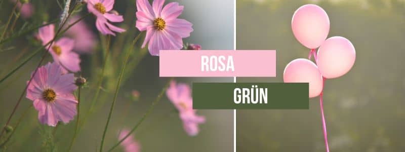 Imagebild, das zeigt, wie gut Rosa und Grün zusammenpassen