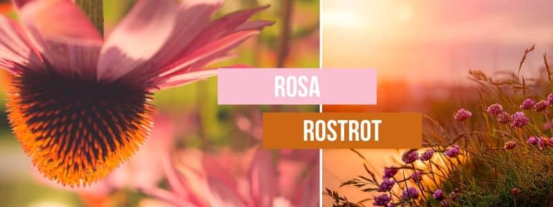 Ein Imagebild bestehend aus zwei Feldern die zeigen, wie gut Rosa und Rostrot zusammen passen.