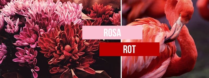 Imagebild mit zwei Bereichen in Rot und Rosa.