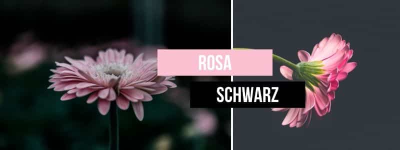 Rosa-mit-Schwarz-kombinieren