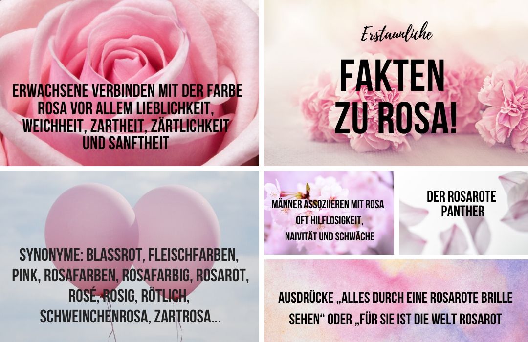 Diese Infografik beschreibt verschiedenen Fakten zur Farbe Rosa.