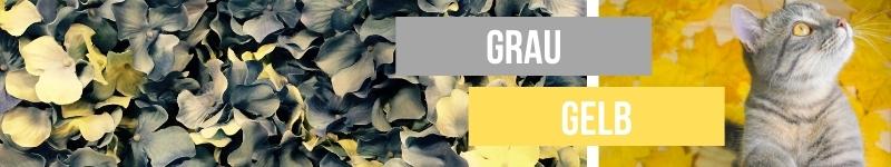 Ein Bildcollage aus zwei Bildern die in der Mitte durch den Text Grau und Gelb verbunden werden. Bild 1: Nahaufnahme von Hortensienblüten in Grau und Gelb. Bild 2: Eine graue Katze sitzt vor einem gelben Hintergrund.