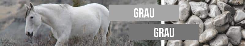 Ein Bildcollage aus zwei Bildern die in der Mitte durch den Text Grau und Grau verbunden werden. Bild 1: Ein hellgraues Pferd lauft durch ein Feld mit grauen Gras-Halmen Bild 2: Viele graue Kieselsteine.