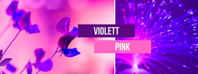 Pink-Violett-kombinieren