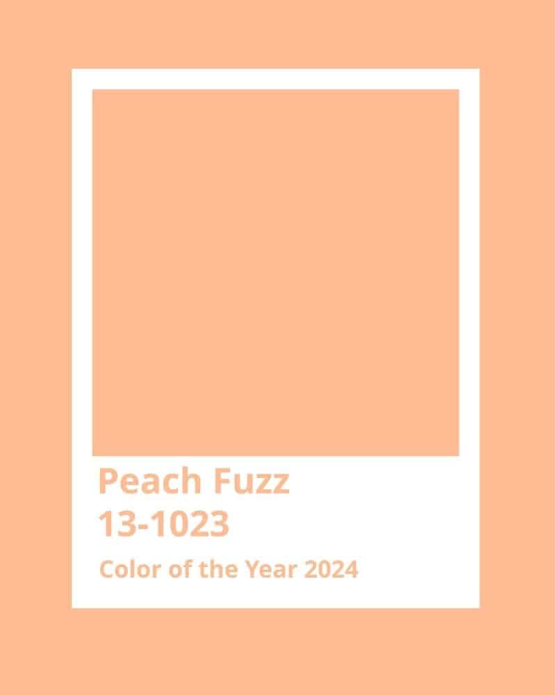 Pantone Farbe des Modejahres 2024: Peach Fuzz