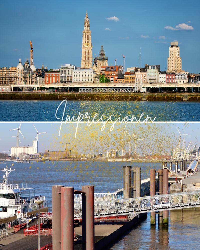 Antwerpen Sehenswürdigkeiten lassen sich vom Wasser aus erkunden. Hier ist die Anlegestelle des Wasserbusses und ein Panoramablick auf die Stadt,