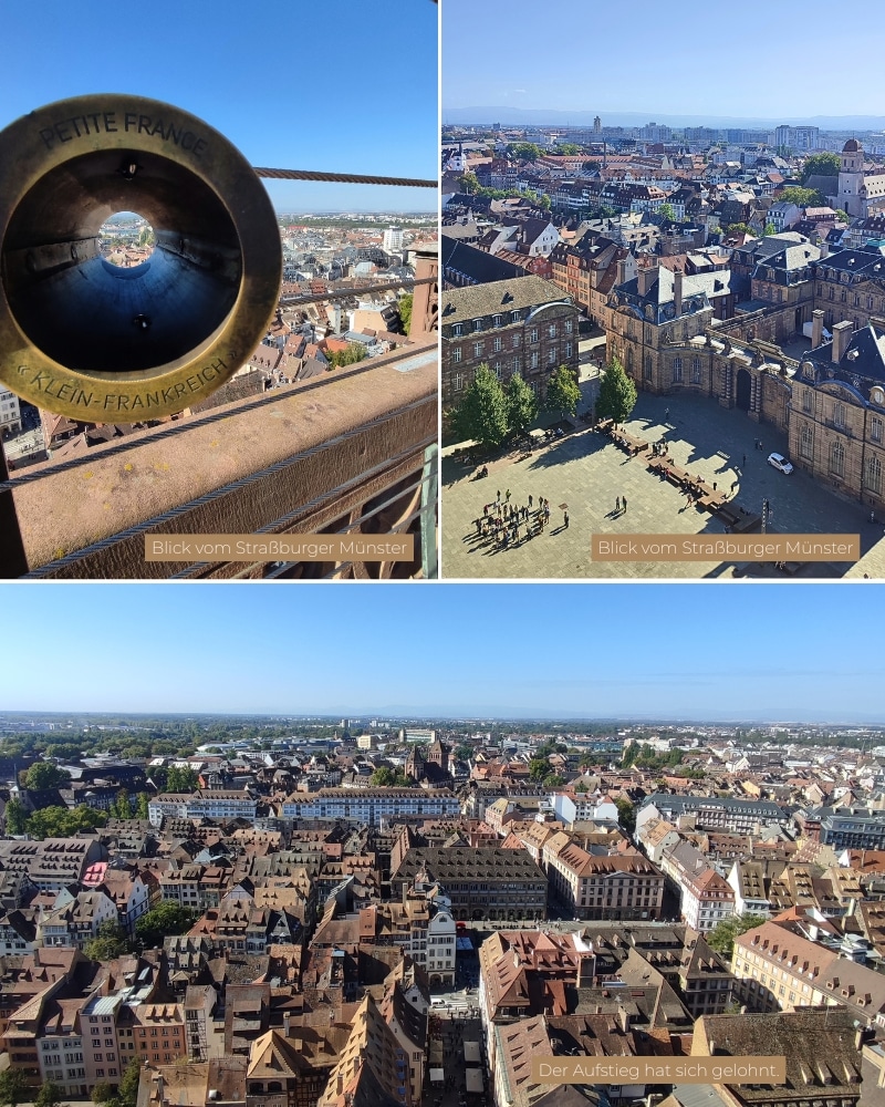 Toller Ausblick von der Aussichtsplattform des Straßburger Münster während des Ausflugs nach Straßburg.